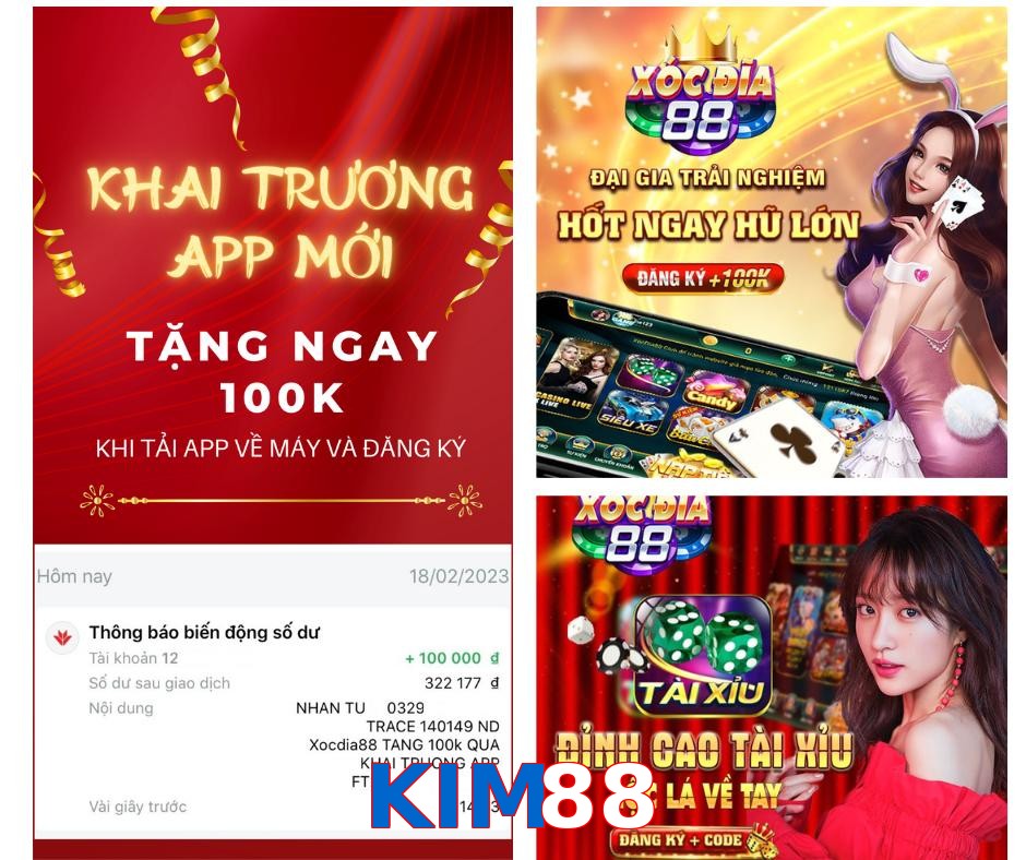 KIM88